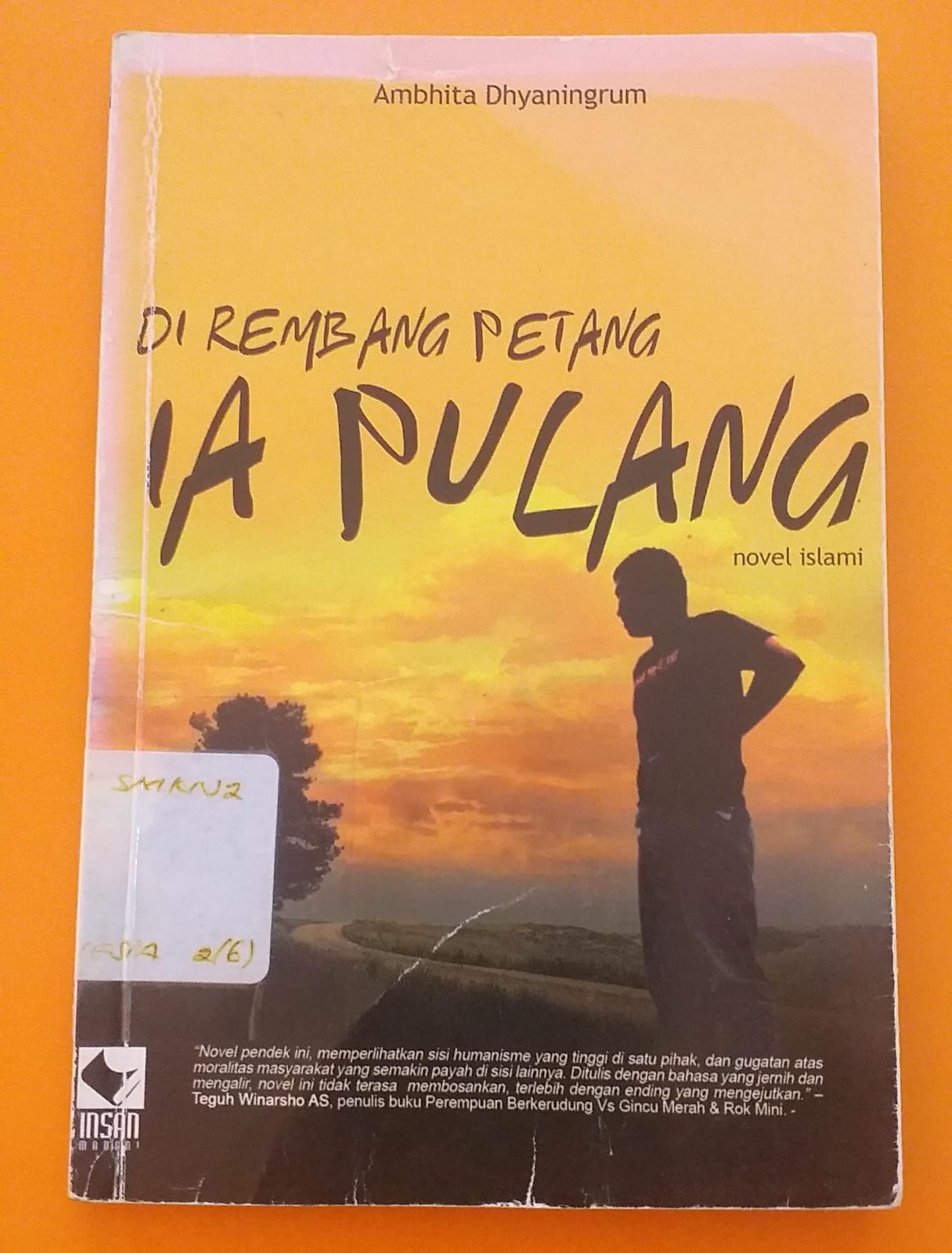 Dirembang Petang Ia Pulang  novel islami