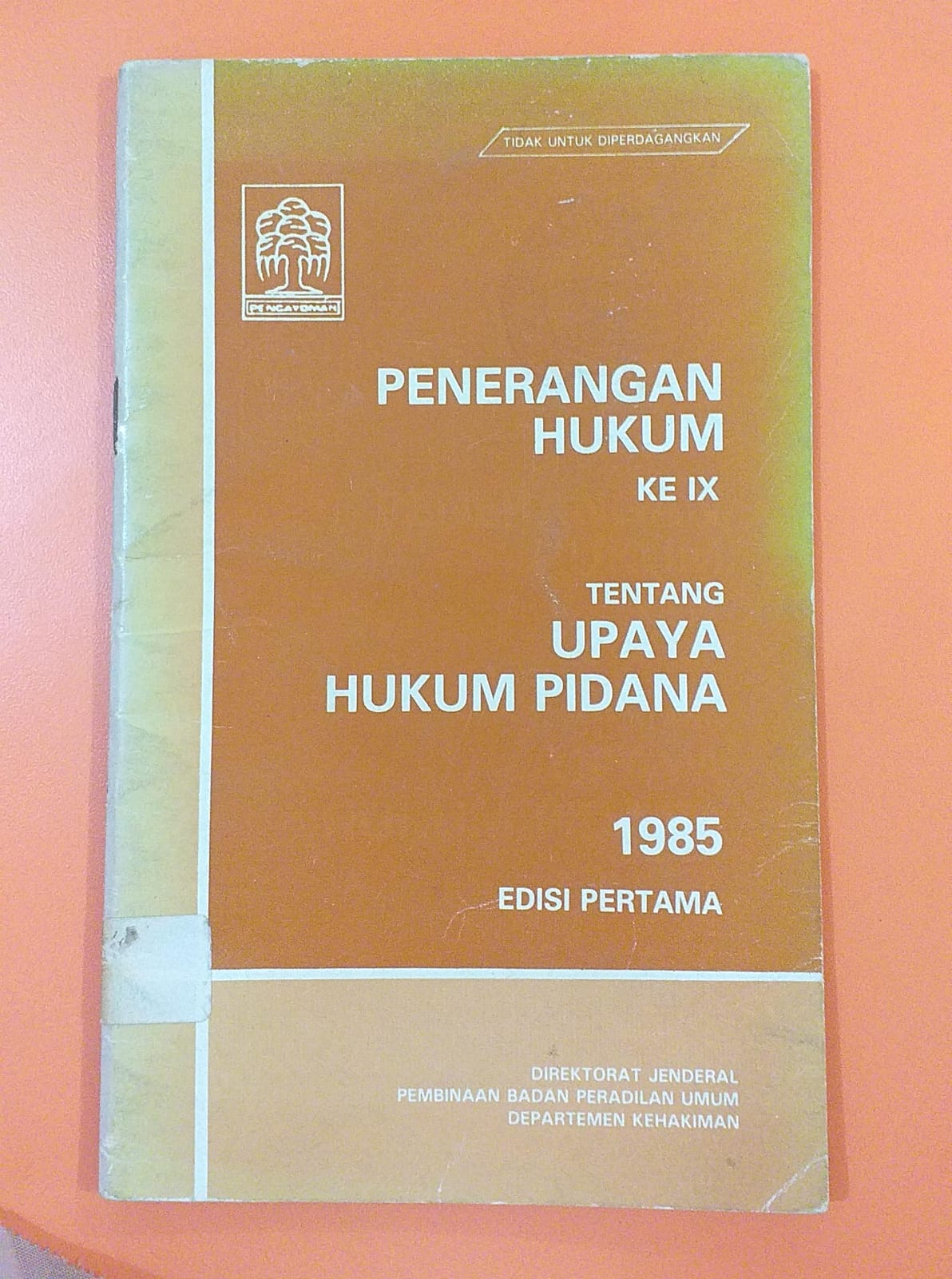 Penerapan Hukum Ke IX Tentang Upaya Hukum Pidana